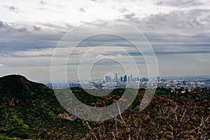 View of the Los Angeles skyline from Griffith Park on a hazy summer afternoon