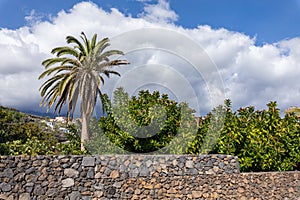 View on the Los Cancajos beach in La Palma, Canary islands, Spain photo