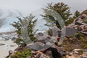 View of Los Glaciares National Park, El Chalten,Patagonia, Argentina