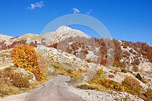 View of Lovcen National Park with Stirovnik peak. Montenegro