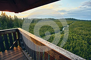 A view of Lovrenska lakes from the wooden tower