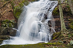 View of the Lower Crabtree Falls in the Blue Ridge Mountains, Virginia, USA