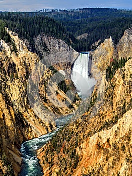 View of Lower Falls from Red Rock Point, Grand Canyon of the Yellowstone River, Yellowstone National Park, Wyoming, USA