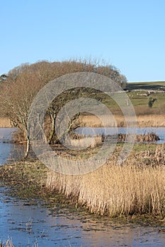 View from Lower Hide Leighton Moss nature reserve