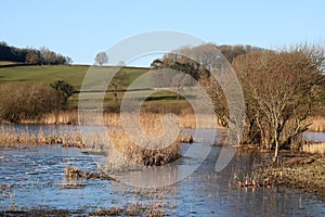 View from Lower Hide Leighton Moss nature reserve