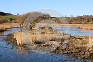 View from Lower Hide Leighton Moss nature reserve