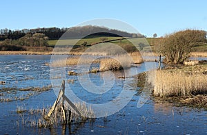 View from Lower Hide Leighton Moss nature reserve