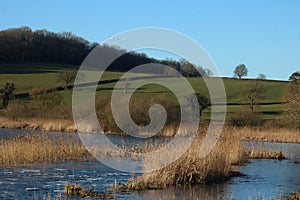 View from Lower Hide Leighton Moss nature reserve