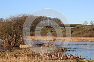 View from Lower Hide Leighton Moss nature reserve