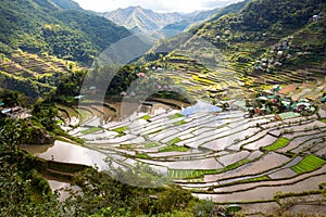 View from the lower viewpoint on Ifugao Rice terraces, Batad, Philippines