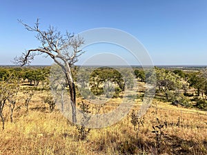 View of luangwa valley from chindeni hills in lower lupande GMA