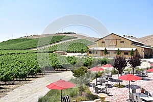 View of a lush green vineyard in rolling hills at an upscale winery in Paso Robles, California