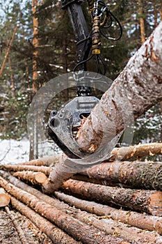 Tree log hydraulic manipulator