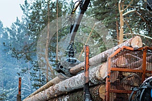 Tree log hydraulic manipulator