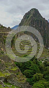 View of Machu Picchu from the citadel, Cusco Peru