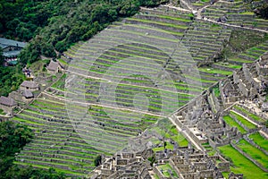 View of Machu Picchu from Wayna Picchu, Huayna Picchu