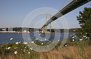 View of the MacKay bridge, a landmark in Halifax Nova Scotia