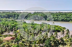 View of Madacaru in Lencois Maranheses, Brazil