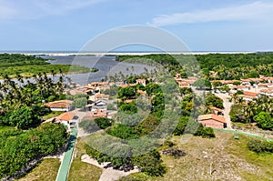 View of Madacaru in Lencois Maranheses, Brazil