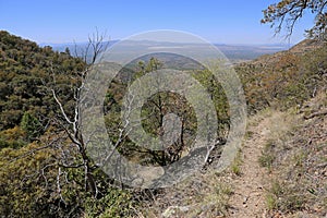 View from Madera Canyon photo