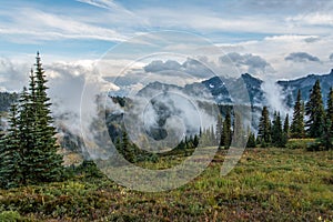 View on the magnificent Mount Rainier from Paradise Vista trail