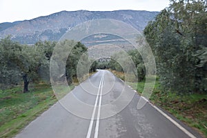 View of the main monuments of Greece. Ruins of ancient Delphi. Oracle of Delphi. Mount Parnassus. Road with olive trees photo