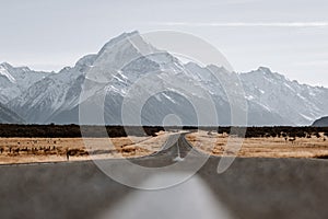 View of the majestic Aoraki Mount Cook with the road leading to Mount Cook Village. Taken during winter in New Zealand.