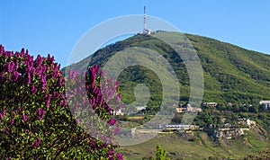 View of the majestic Mount Mashuk from Pyatigorsk photo