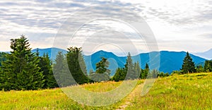 View of Mala Fatra, Slovakia national park. Tourist path near the Maly and Velky rozsutec mountains. Beautiful forest, trees and