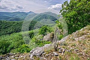 View from Mala Vapenna with trees