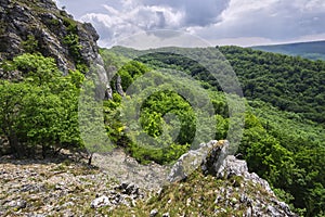 View from Mala Vapenna with trees