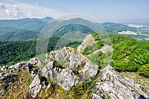 Pohľad z Malej Vapennej so stromami