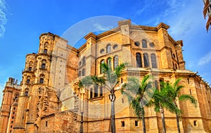 View of Malaga Cathedral, Andalusia, Spain photo