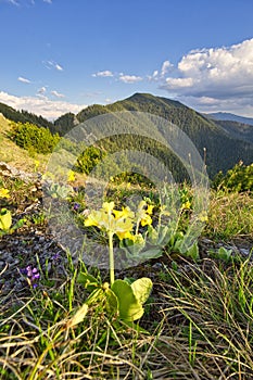 Pohľad z Malého Salatína na Nízke Tatry