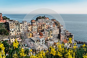 View of Manarola,Cinque Terre,Italy.UNESCO Heritage Site.Picturesque colorful village on rock above sea.Summer holiday,travel