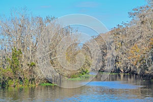 The view of Manatee Springs and Suwannee River. Manatee Springs State Park is in Chiefland, Florida