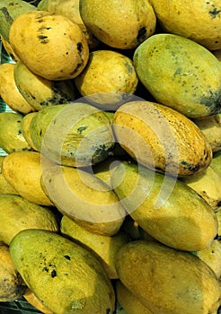 view of mango fruit kept well stocked
