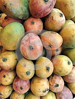 view of mango fruit kept well stocked