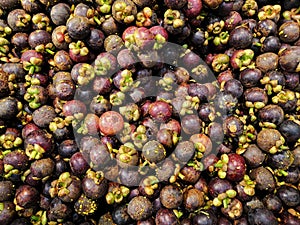 View mangosteen fruits for sale in a supermarket, queen of fruits, mangosteen is a fruit with white flesh, sweet and delicious.