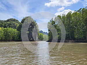 View of mangrove forest and limestone hills from boat cruise in Kilim Karst Geoforest Park, Langkawi, Kedah, Malaysia.