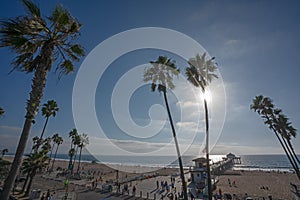 View of a Manhattan Beach with the pier and palm trees in Califo