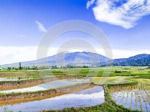 the view of marapi mountain in the morning