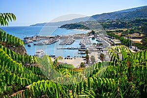 View of the marina of Tropea â€“ from behind the trees Calabria, ITALY