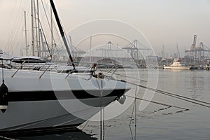 Valencia marina with fog photo