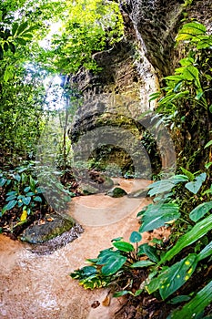 View of Maroaga Cave in jungle at Presidente Figueiredo Brazil photo