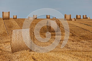 View of the Masurian fields