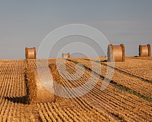 View of the Masurian fields