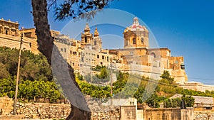View of Mdina, a fortified medieval city in the Malta island