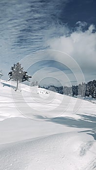 A view of a meadow covered under snow