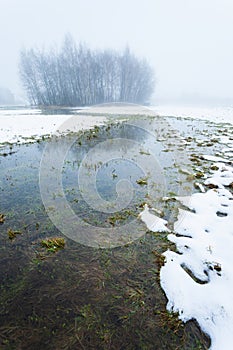 View of a meadow with melting snow and trees in the fog